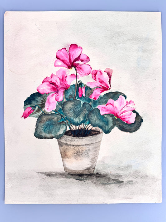 Gemälde Aquarell, Alpenveilchen