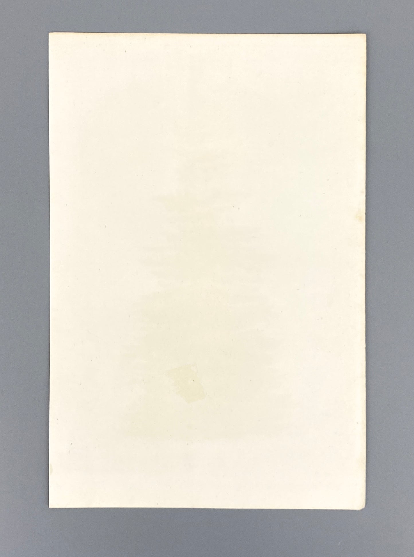 Botanische Darstellung von Picea Alba (Weiß-Fichte), Farboffsetlithografie von Horto van Houtteano